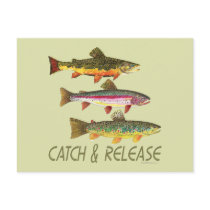 Trout Catch and Release Post Cards