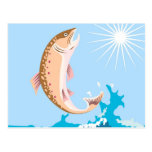 trout fish jumping postcards