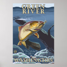 Trout Fishing Cross-Section - Green River, WA Posters