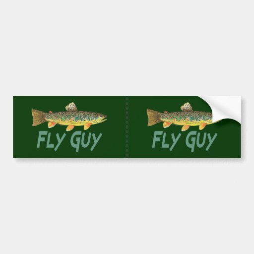 Trout Fly Fishing Bumper Sticker Zazzle