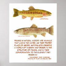 Trout Poster