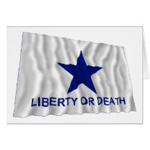 Troutman Flag Cards