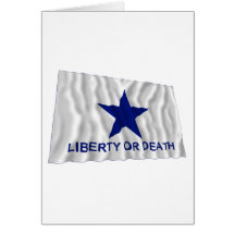 Troutman Flag Greeting Cards
