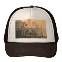Trucker-Kappe "Irish Terrier"
