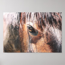 Trudy Posters
