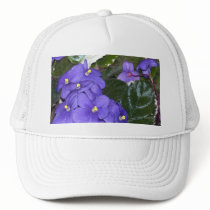 True Blue Violets