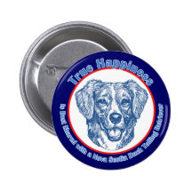 True Happiness Nova Scotia Duck Tolling Retriever