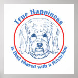 True Happiness with a Havachon Posters