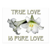 True Love is Pure Love (White Easter Lilies) Post Card