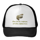 True nature of the stimulus trucker hat