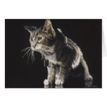 Truffles the Tabby Cat Watercolor Greeting Card
