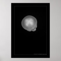 Truk Fujikawa Maru 252 bbcr Poster