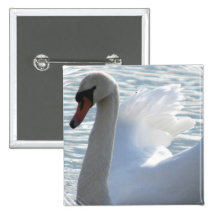 Trumpet Swan Square Button
