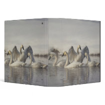 Trumpeter Swans in the Madison River in winter Vinyl Binders