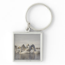 Trumpeter Swans in the Madison River in winter Keychains