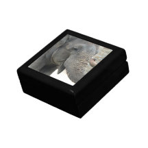 Trumpeting Elephant Gift Box