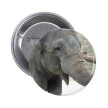 Trumpeting Elephant Round Button