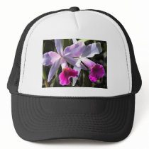 Trumpeting Purple Orchids