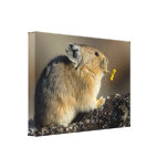 Trumpeting the Sunrise Canvas Prints