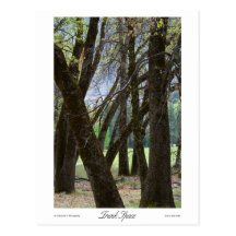 Trunk Space Prints Post Cards