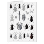 Truppe von alien greeting cards