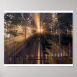 Truth Poster posters