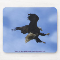"TRY ANYWAY" EAGLE Series