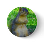 Try_ Pinback Buttons