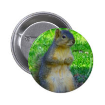 Try_ Pinback Buttons