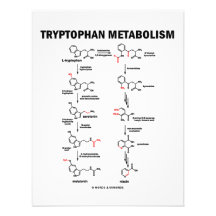 Tryptophan Metabolism (Chemistry) Custom Announcement