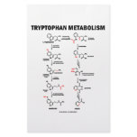 Tryptophan Metabolism (Chemistry) Stationery