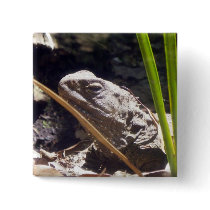Tuatara Pins