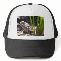Tuatara Mesh Hat