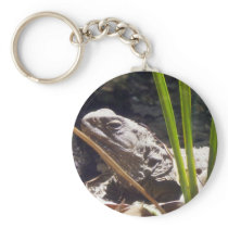 Tuatara Key Chains