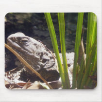 Tuatara Mousepads