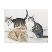 Tubby, Tiger and Tiny Original Art Postcard