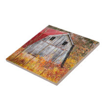tucked Away Ceramic Tiles