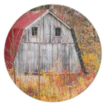 tucked Away Dinner Plate