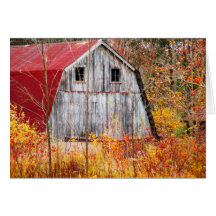 Tucked Away Greeting Cards