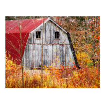 Tucked Away Postcard