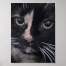Tucker Poster
