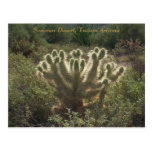 Tucson Arizona Postcards