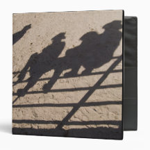Tucson, Arizona: Shadows of Rodeo competitors Binder