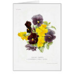 Tufted Pansies Card