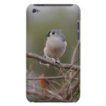 Tufted Titmouse iPod Touch Cover