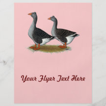 Tufted Toulouse Geese Personalized Flyer