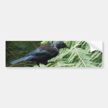 Tui Bumper Sticker