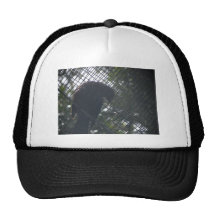 Tui Hat