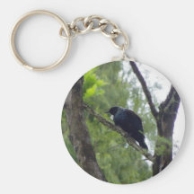 Tui in Rimu Tree Key Chain