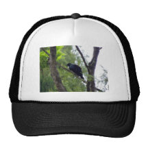 Tui in Rimu Tree Trucker Hat